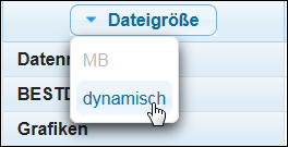 Anzeige der Dateigröße in kB/MB