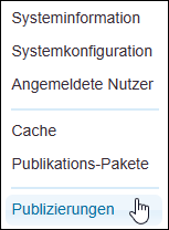 Der Menüpunkt »Publizieren« (Darstellung für einen System-Administrator)