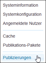 Publizierungen